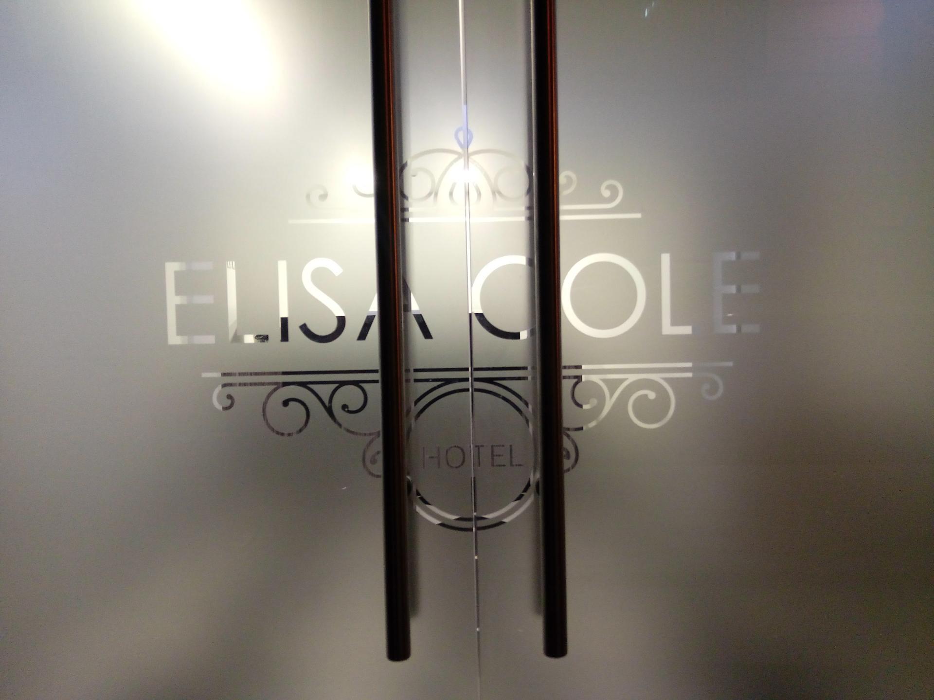 Hotel Elisa Cole Santiago Dış mekan fotoğraf